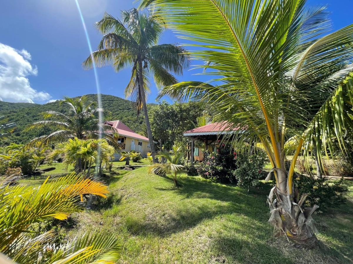 Residence Coco D'Iles, Gite Ti Bambou Terre-de-Bas Экстерьер фото